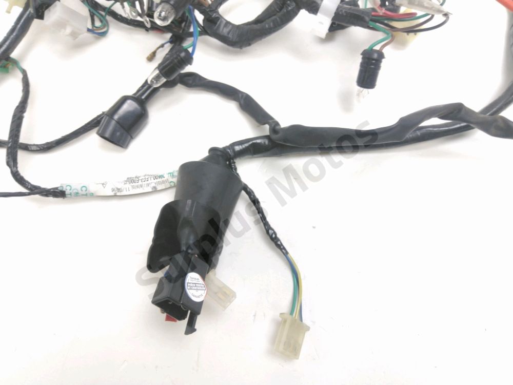 FAISCEAU ELECTRIQUE