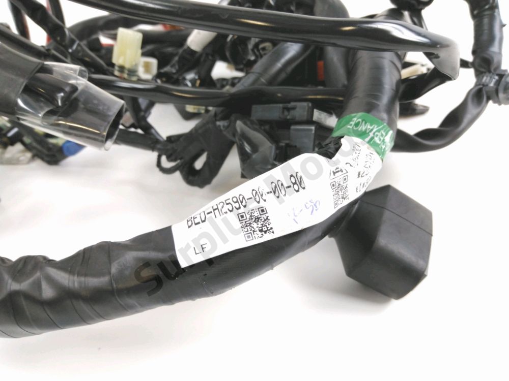 FAISCEAU ELECTRIQUE