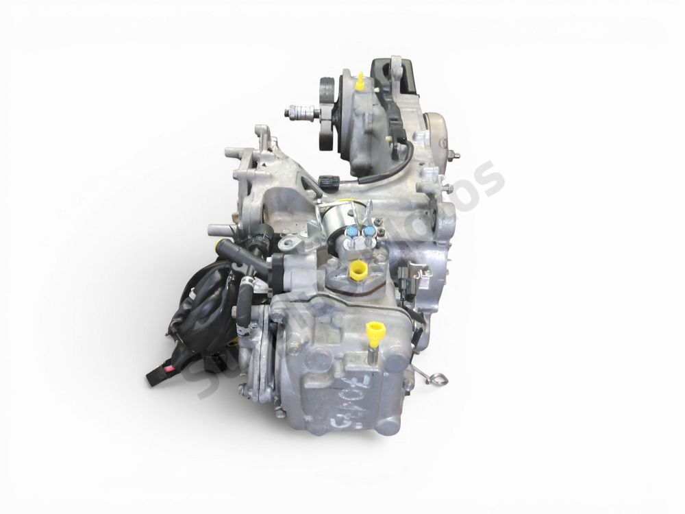 MOTEUR