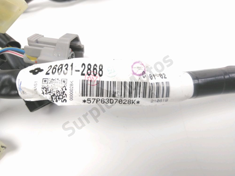 FAISCEAU ELECTRIQUE