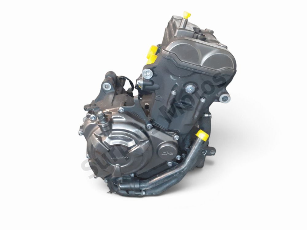 MOTEUR